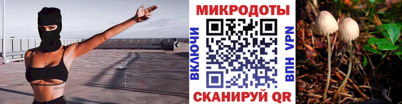 Псилоцибиновые грибы Magic Shrooms даркнет сайт Козьмодемьянск